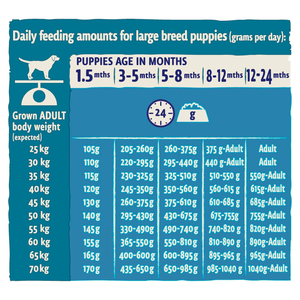 Beta Puppy Large Breed 14kg